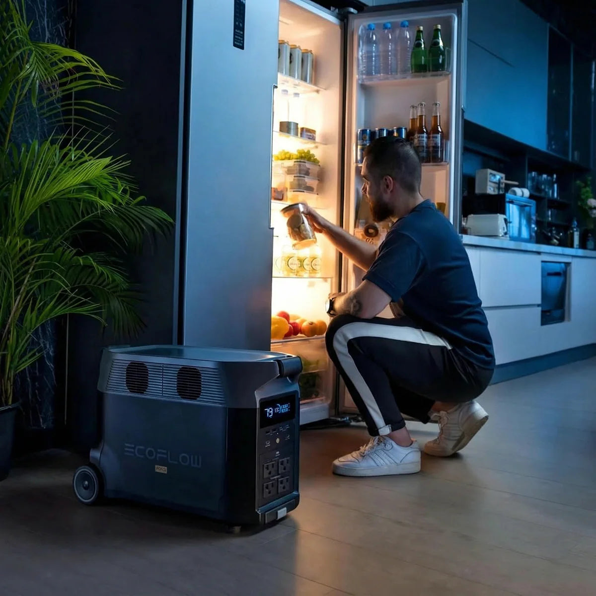 Ecoflow Delta 2 Pro Portable Power Station