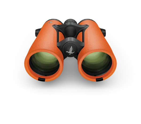 A front view of Swarovski Optik orange binoculars showcasing their large, multi-coated lenses and distinctive open-bridge design with the iconic Swarovski logo.