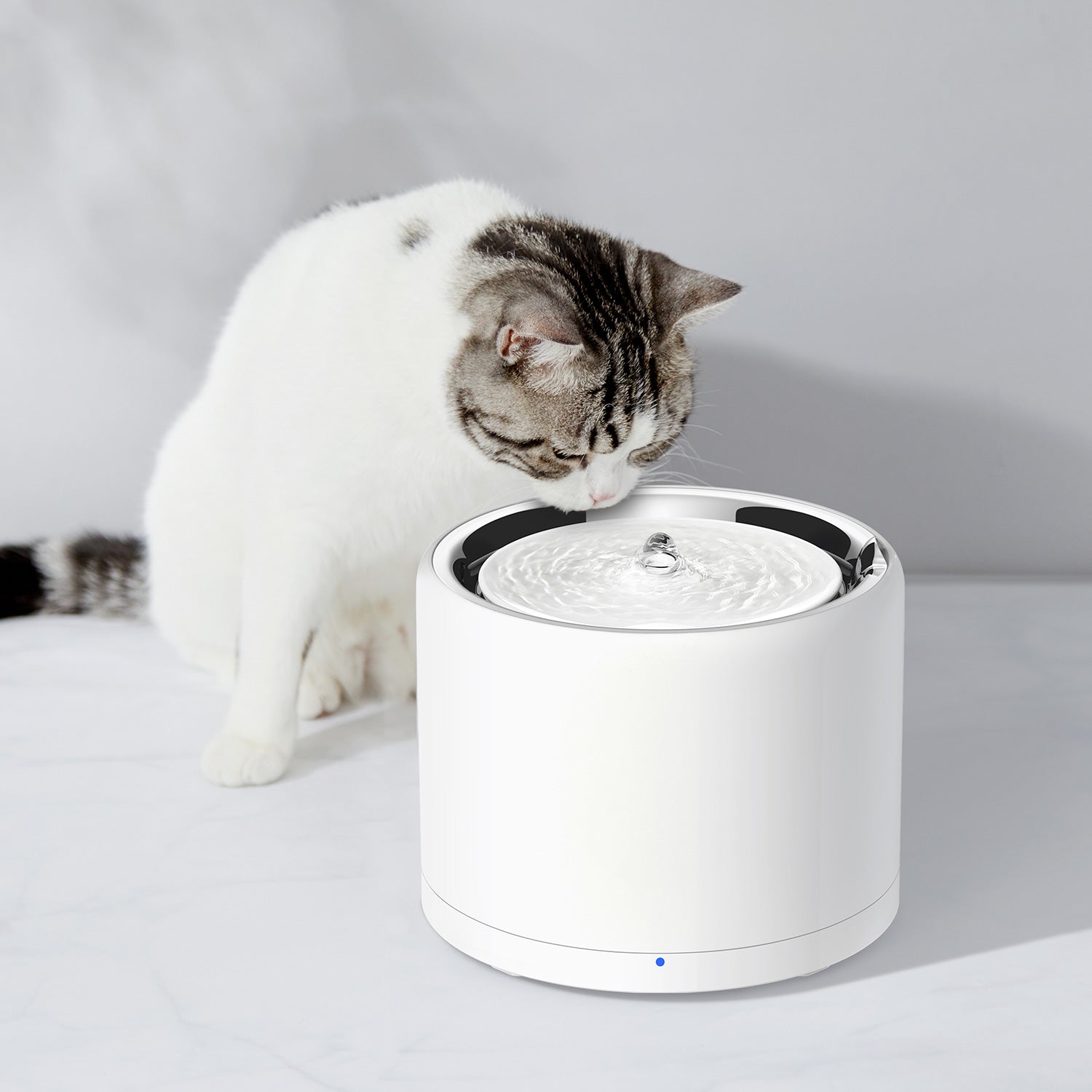 Cat drinking fresh flowing water from the PETKIT EverSweet 3 Pro fountain