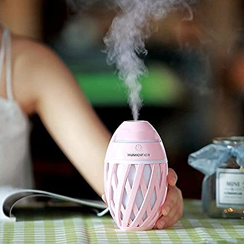 Portable Olive Humidifier