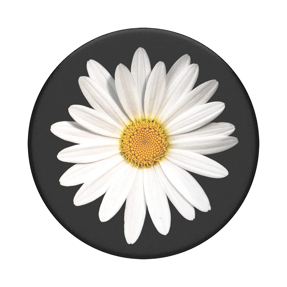 A close-up view of a PopSockets phone grip top, featuring a detailed image of a white daisy with a yellow center. The background of the top surface is black, highlighting the vibrant colors of the daisy petals and center.