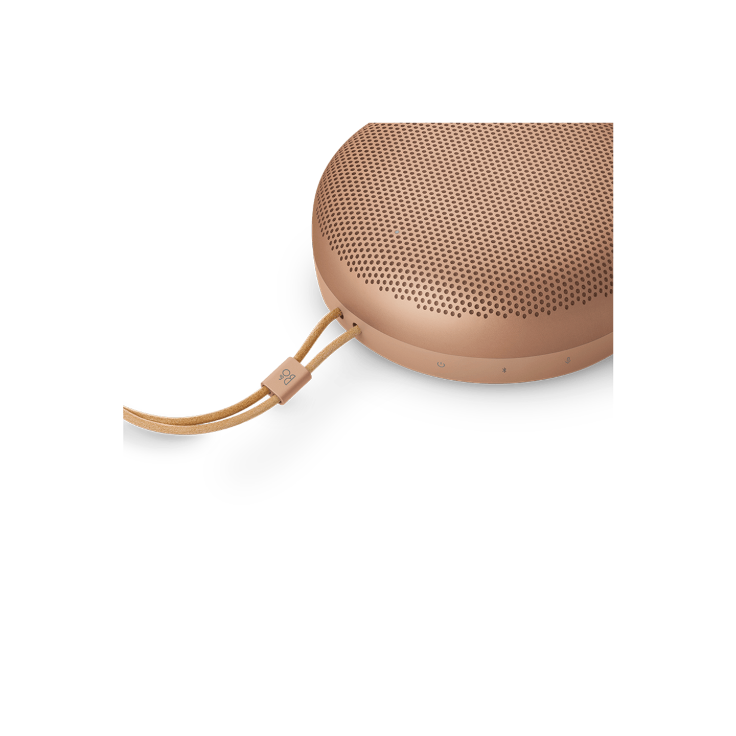 Bang and Olufsen Beosound A1 3RD Gen Waterproof Speaker