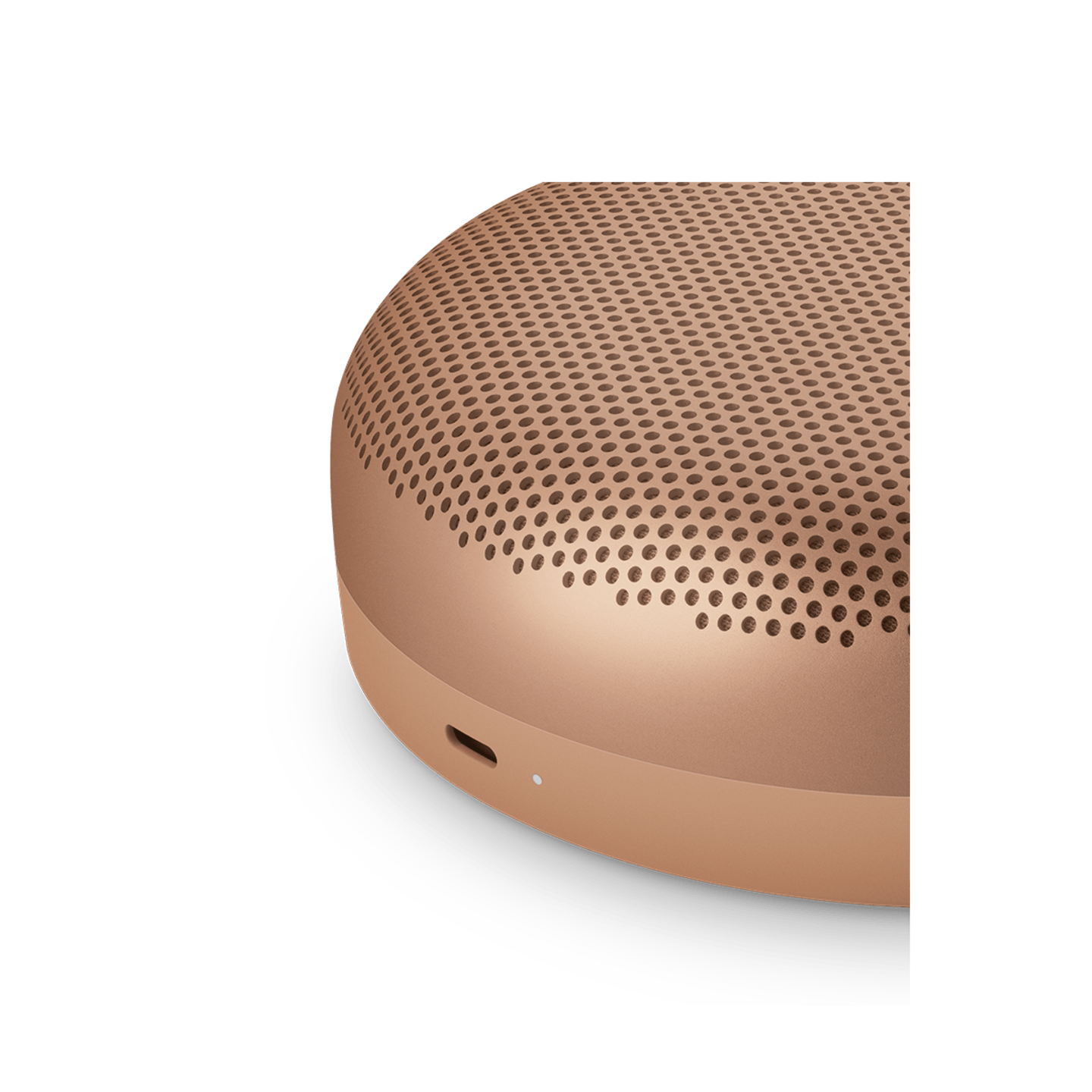 Bang and Olufsen Beosound A1 3RD Gen Waterproof Speaker