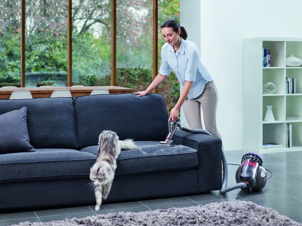 A woman vacuuming a dark blue sofa with a canister vacuum cleaner, using a specialized attachment designed for removing pet hair. A playful cat is seen jumping off the sofa, adding a lively touch to the clean and modern living room setting, which features large windows and a view of lush greenery outside.