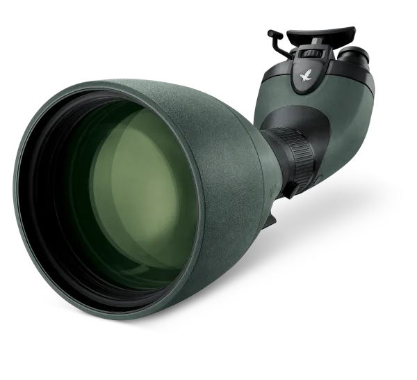 A high-performance Swarovski Optik spotting scope featuring a large green-tinted objective lens and an ergonomic angled design. The scope includes a focus adjustment knob and a sleek body with the Swarovski hawk logo near the eyepiece, emphasizing its premium quality and precision optics for outdoor and wildlife observation.