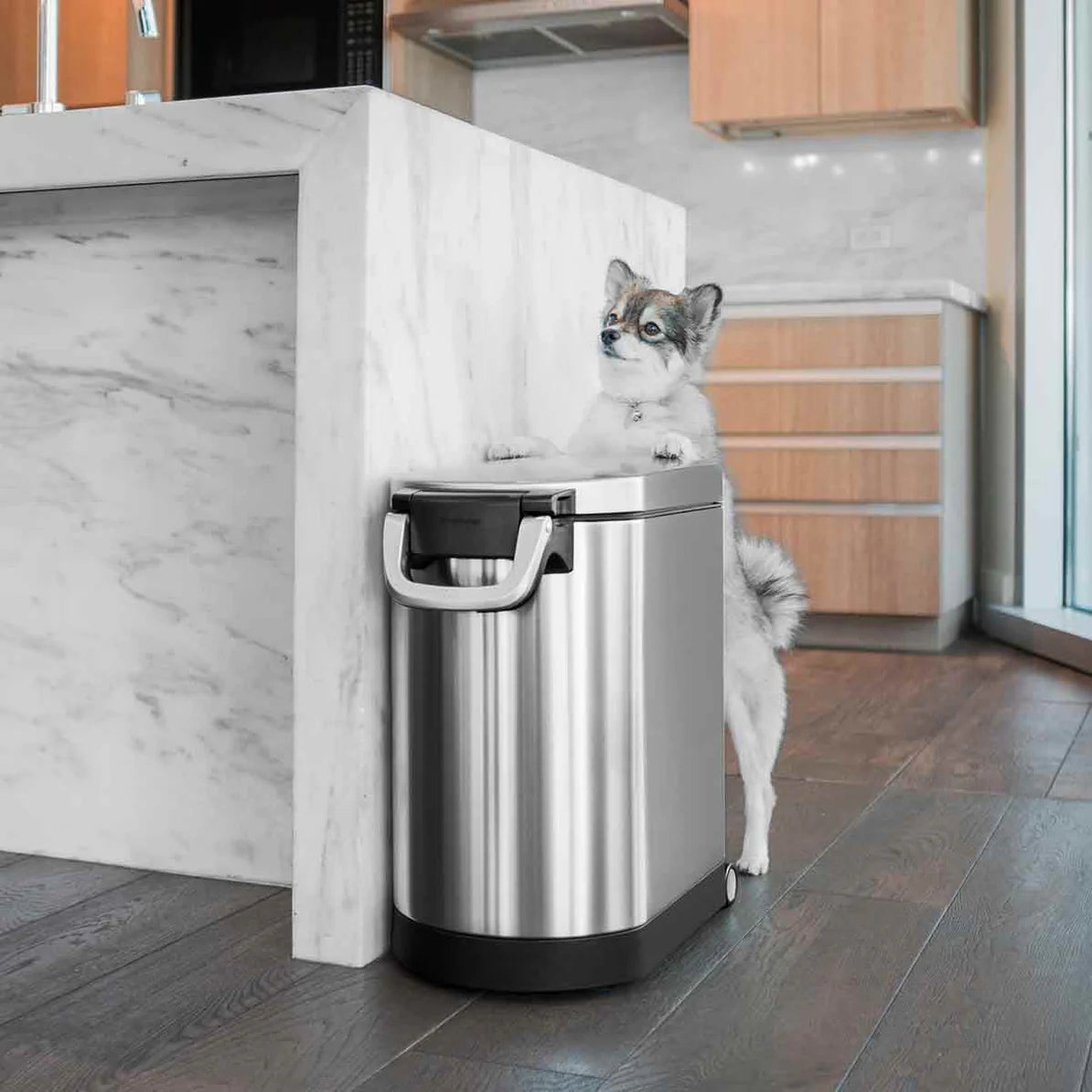 The image shows a modern kitchen setting with a stainless steel trash can placed against a marble countertop. A small dog, standing on its hind legs, is leaning against the trash can, seemingly curious or trying to interact with it. The trash can features a sleek, rectangular design with a black base and a handle on the front, giving it a contemporary and functional appearance. The kitchen's light wood cabinetry and marble accents, combined with the polished finish of the trash can, create a clean and styli