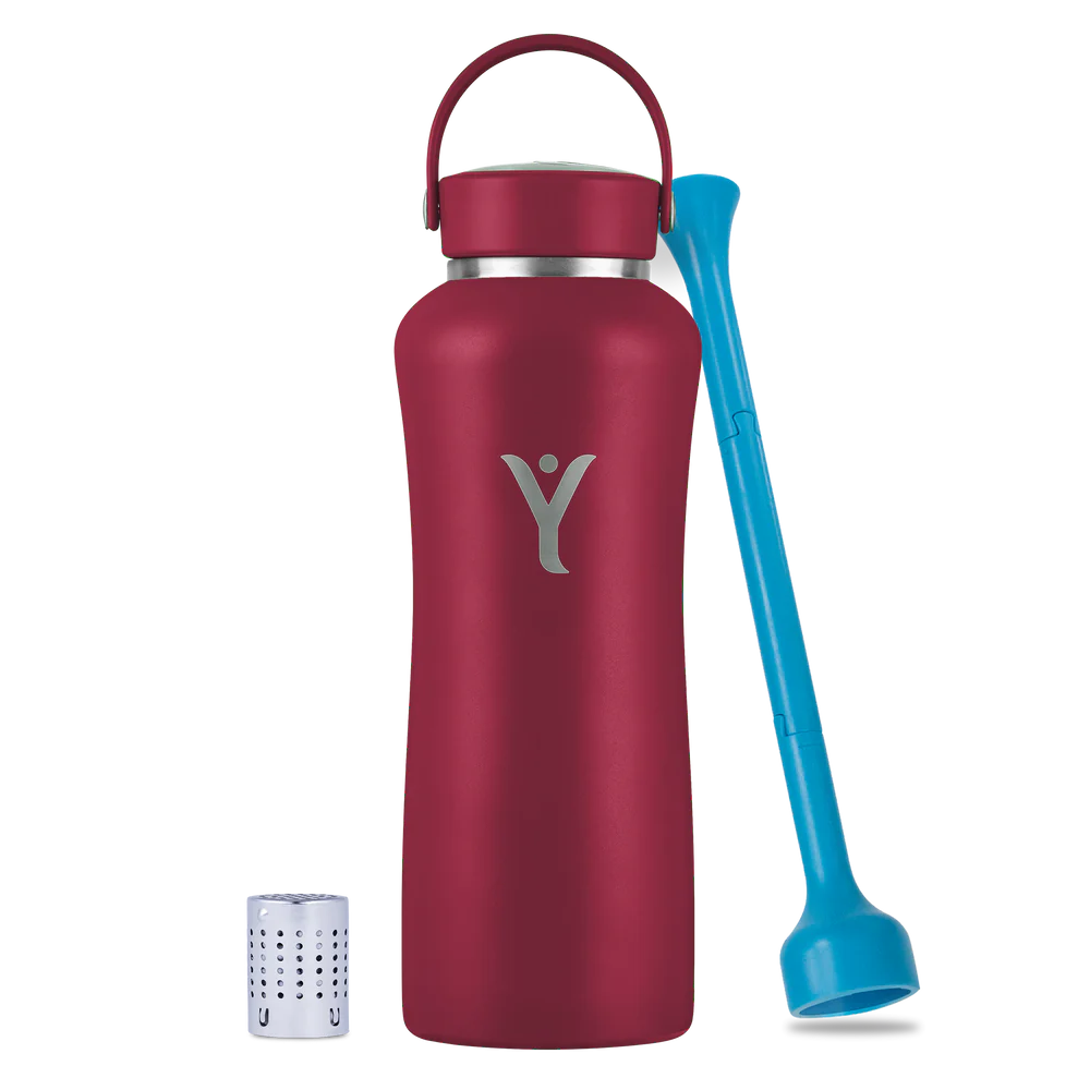 A MetallicRed-colored DYLN water bottle with a silver cap and an integrated handle. The bottle has a sleek design with the DYLN logo prominently displayed in the center. Accompanying the bottle are two accessories: a blue straw-like tool and a small metallic diffuser cap, designed to enhance the water's alkalinity. The overall aesthetic is modern and functional, making it a stylish and practical hydration solution.