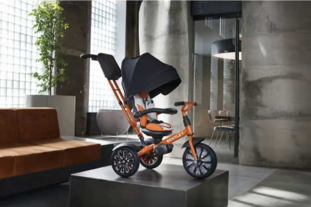 Bentley Mandarin Mulliner 6-In-1 Baby Stroller (6M - 5.5 Y)