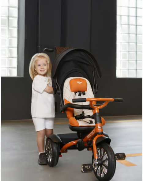 Bentley Mandarin Mulliner 6-In-1 Baby Stroller (6M - 5.5 Y)