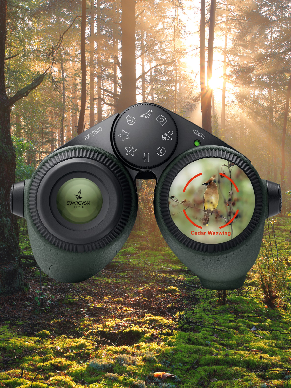 AX Visio smart binoculars with SWAROVISION technology, featuring bird identification of a Cedar Waxwing, in a forest setting.