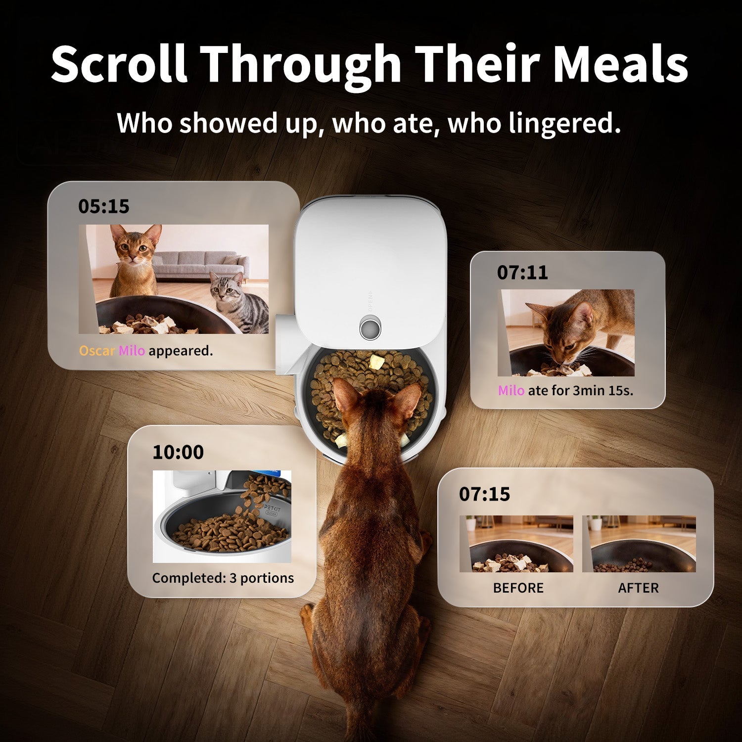 PETKIT YumShare Solo 2 app feeding timeline and meal tracking