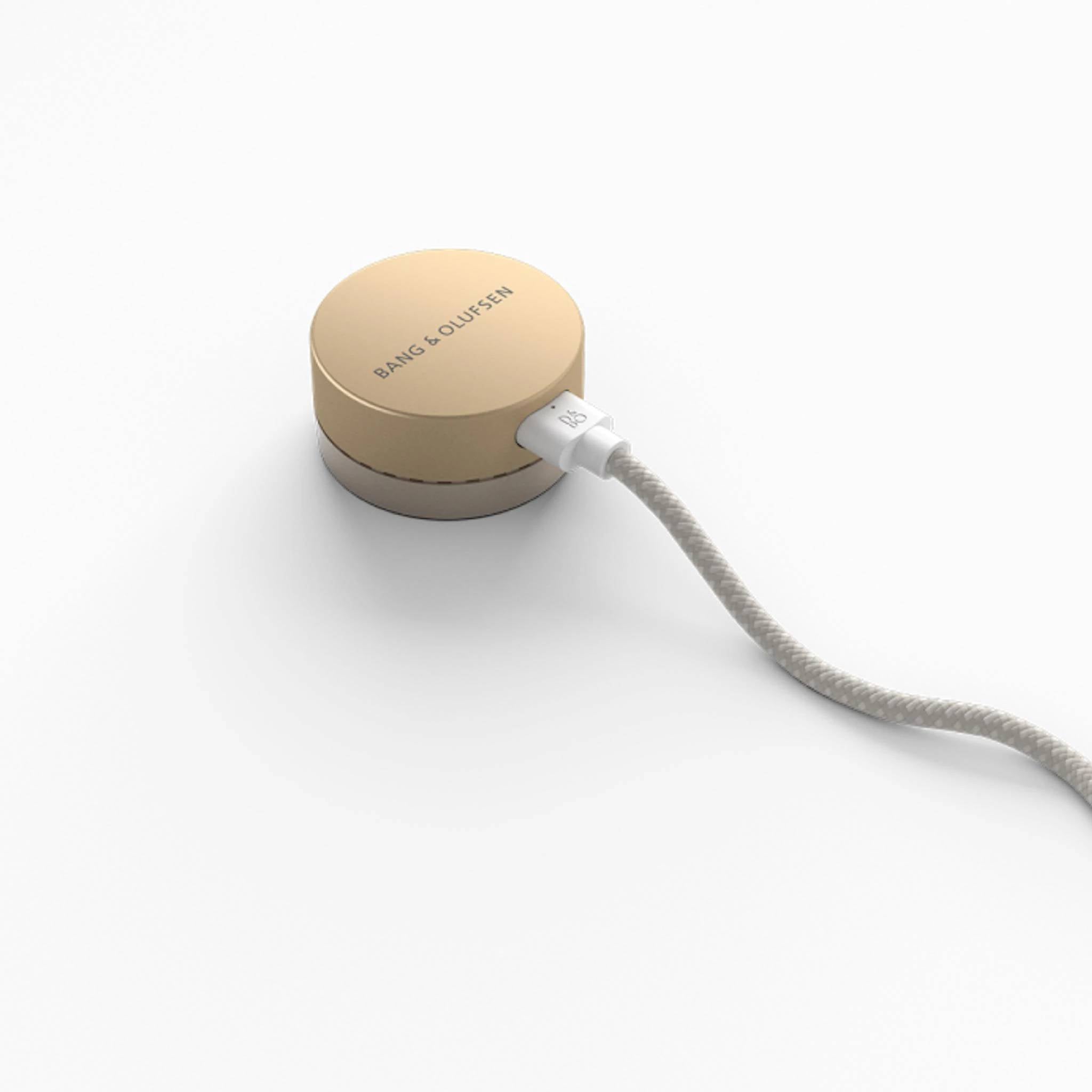 Bang & Olufsen Beosound Level Portable WiFi Speaker